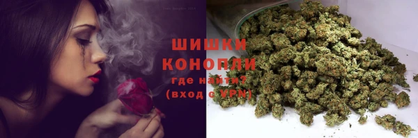 шишки Баксан