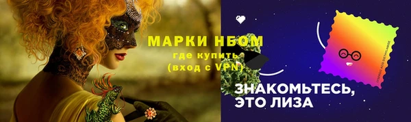 шишки Баксан