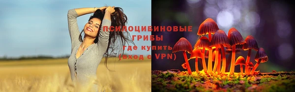 шишки Баксан