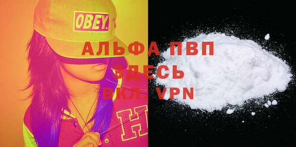 шишки Баксан