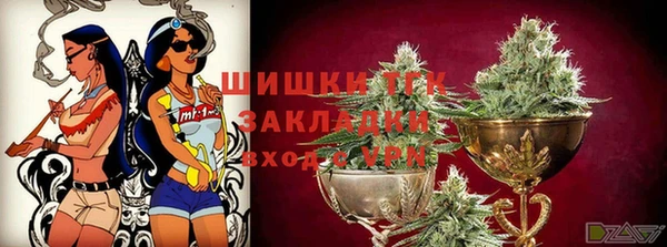шишки Баксан