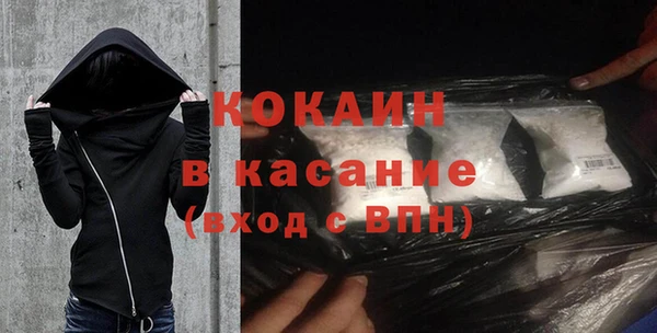 шишки Баксан